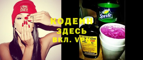 молекула духа Арсеньев