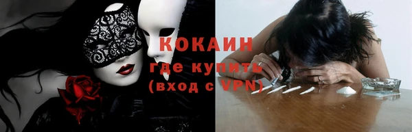 молекула духа Арсеньев