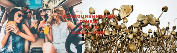 молекула духа Арсеньев