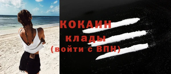 молекула духа Арсеньев