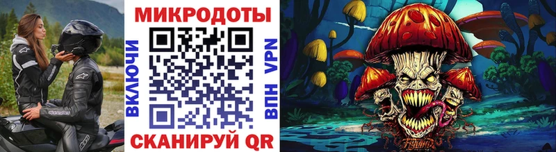 Псилоцибиновые грибы Cubensis  купить  сайты  Пошехонье 